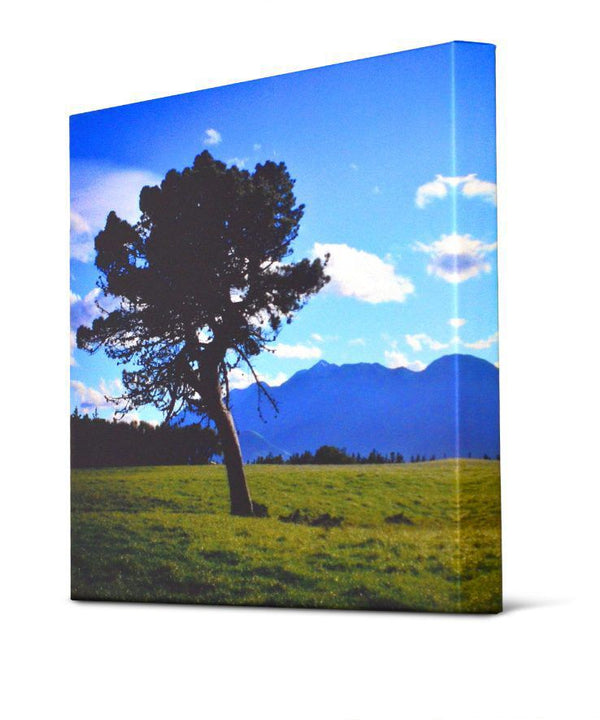 Canvas Wraps Square Size